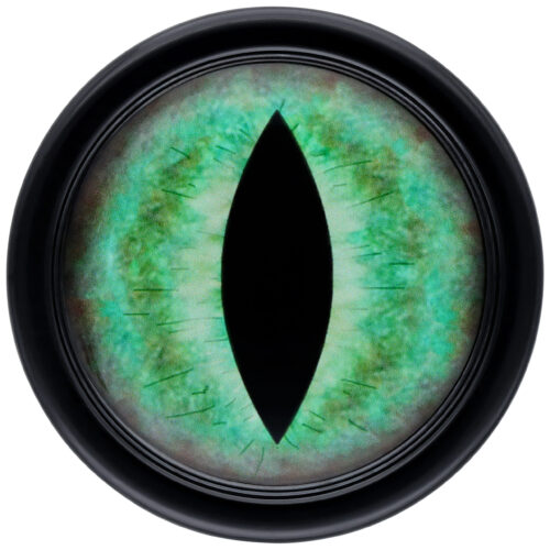 Plug rotondo con motivo di occhi di gatto verdi su sfondo nero