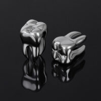 Due pesi per orecchie a forma di dente in acciaio chirurgico su sfondo nero