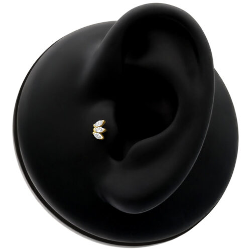 Attacco dorato Triple Fan con cristalli chiari su display nero per orecchio