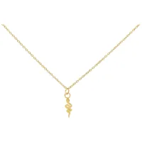 Collana dorata con ciondolo a forma di serpente su sfondo bianco