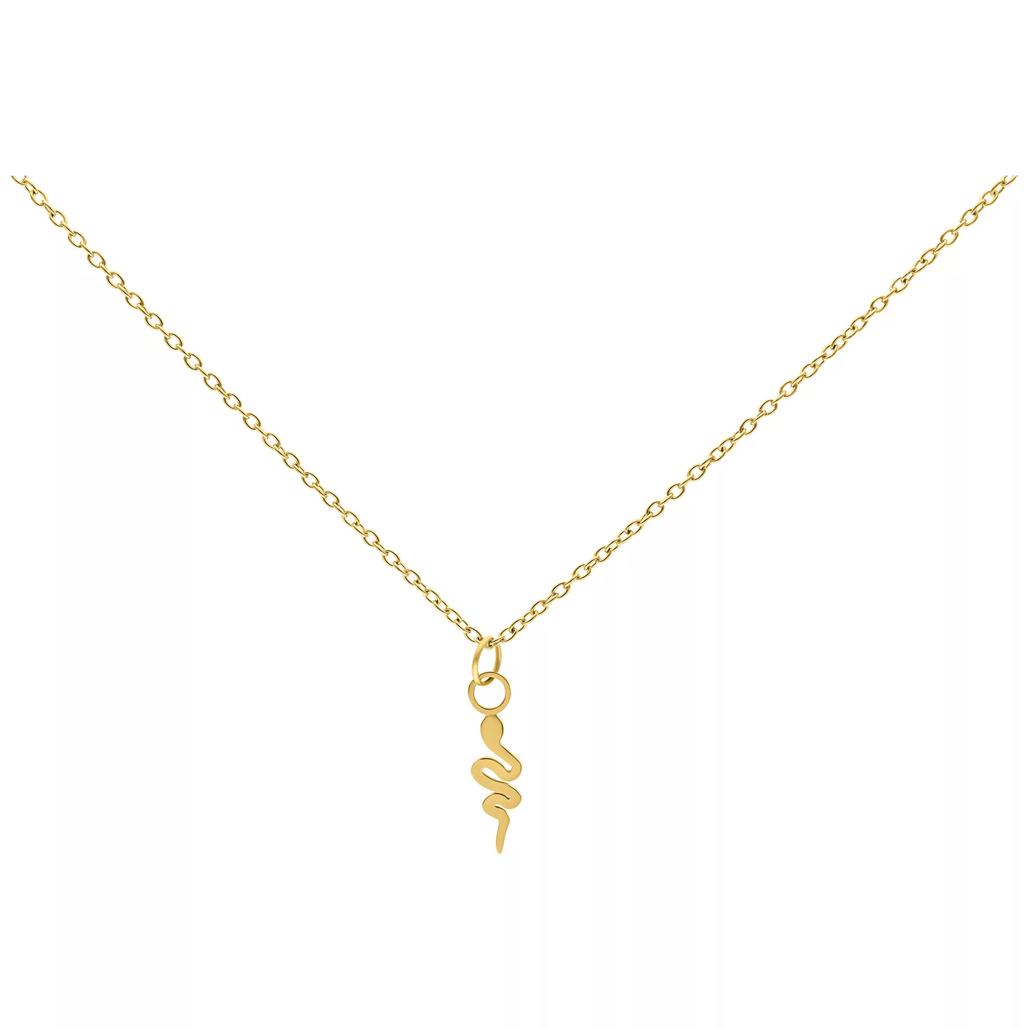 Collana dorata con ciondolo a forma di serpente su sfondo bianco