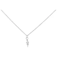 Collana argento con ciondolo a serpente su sfondo bianco