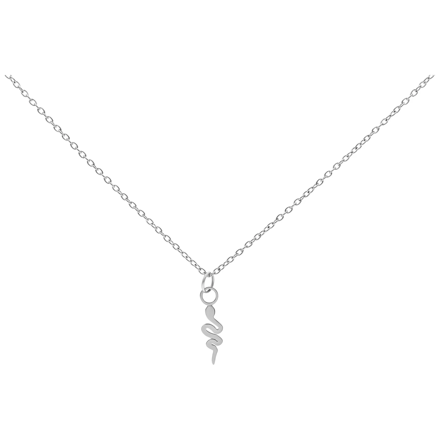 Collana argento con ciondolo a serpente su sfondo bianco