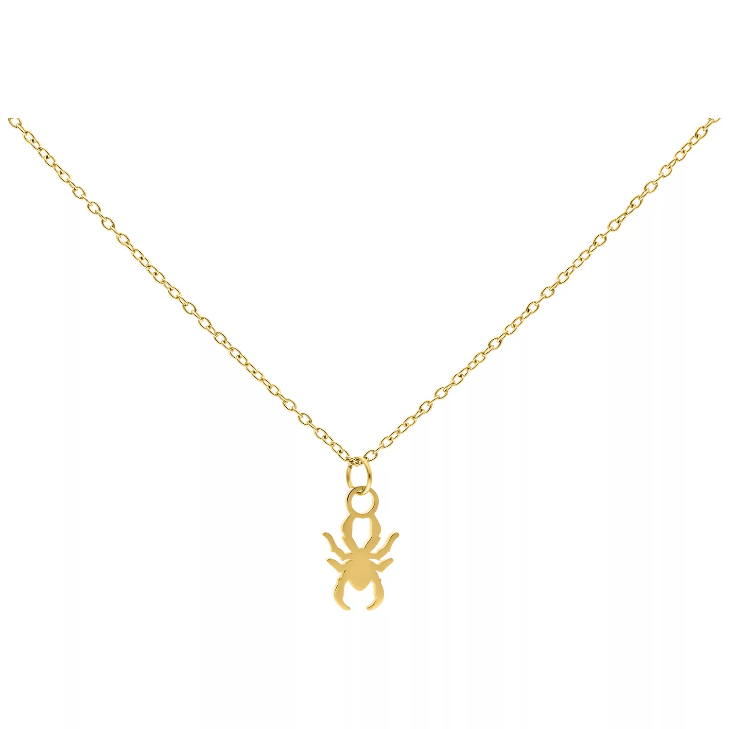 Collana dorata con piccolo ciondolo a forma di ragno su sfondo bianco