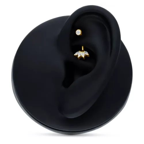 Microbananabell dorato con pietre cristalline in un display nero per orecchio