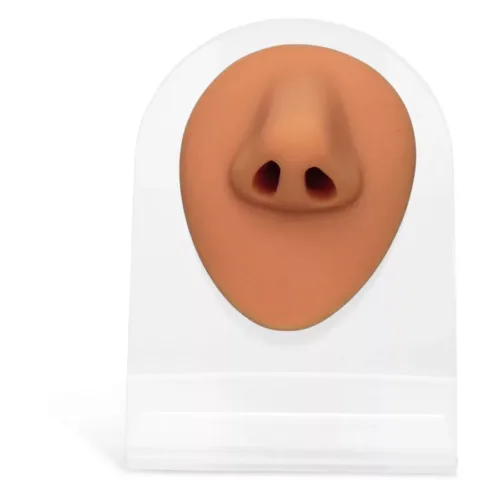 Body Bit Nose 