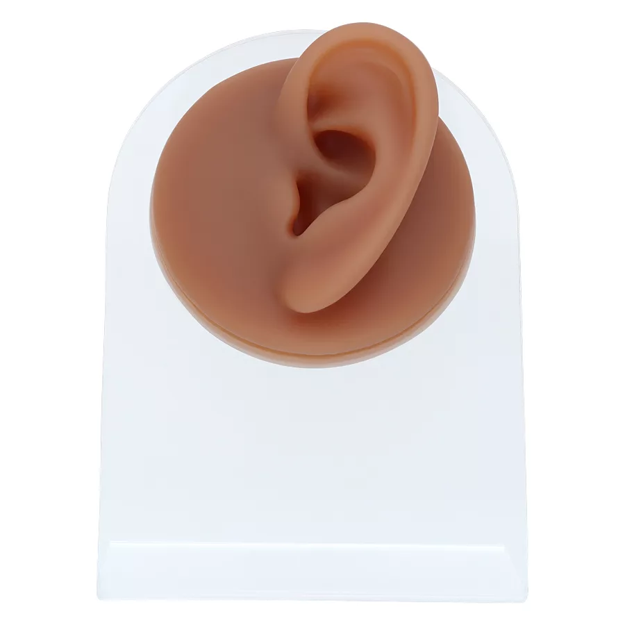 Orecchio in silicone marrone su supporto trasparente, frontale