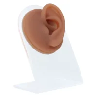 Orecchio in silicone marrone su supporto trasparente, foto in studio