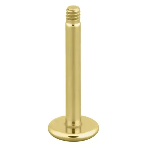Labret in titanio color oro con filettatura esterna su sfondo bianco