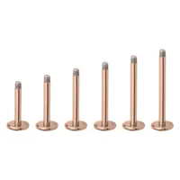 Sei micro labret in oro rosa in titanio su sfondo bianco