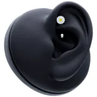 Piercing nero con fiore bianco, posizionato su un modello di orecchio nero