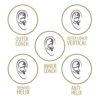 Cinque diagrammi auricolari con posizioni di piercing in cornici dorate