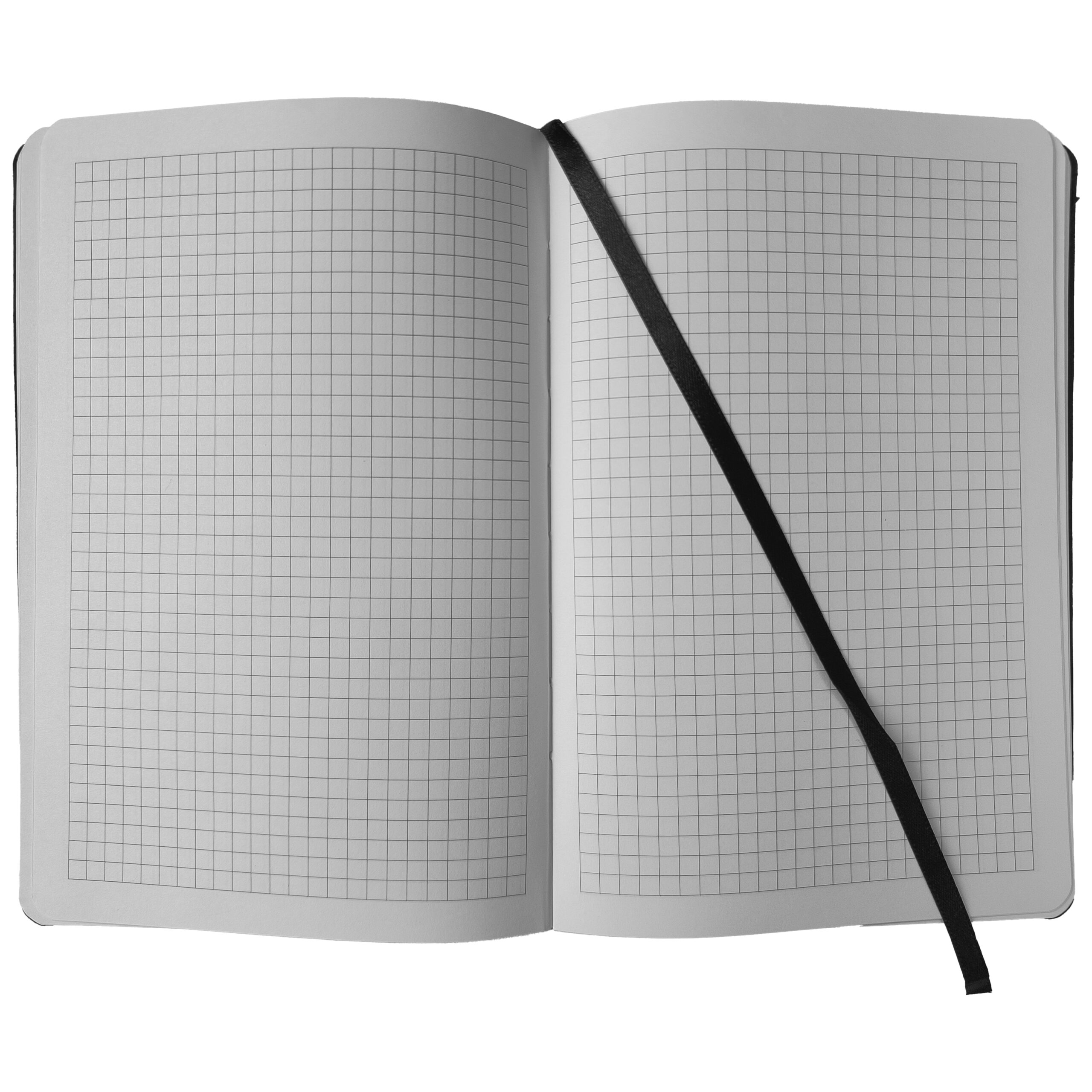 Wildcat Notebook con motivo a quadri Wildcat Notebook aperto con motivo a quadri e segnalibro nero su sfondo bianco