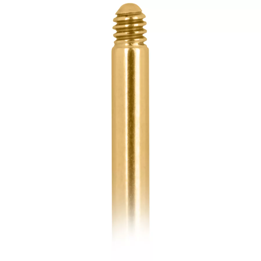 Labret in oro titanio con filettatura esterna su sfondo bianco