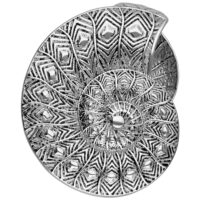 Ear Cuffs Fossil argento con motivo delicato su sfondo bianco