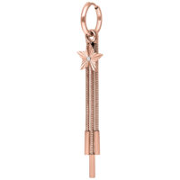 Orecchini in oro rosa con pendente a stella su sfondo bianco