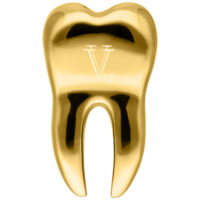 Orecchino peso dorato a forma di dente con logo Verena Venus su sfondo bianco