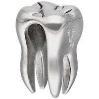 Peso per orecchio argento a forma di dente in acciaio chirurgico su sfondo bianco