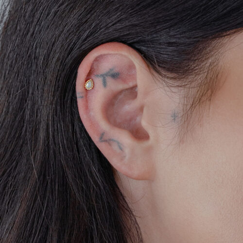 Orecchio con cristallo dorato 14K di Wildcat, perfettamente posizionato