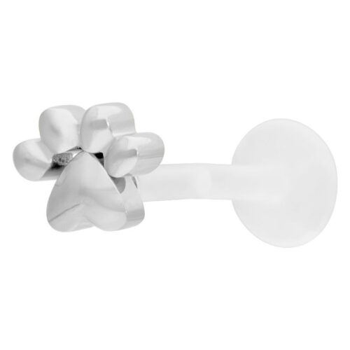 Labret color argento con motivo a zampa su sfondo bianco