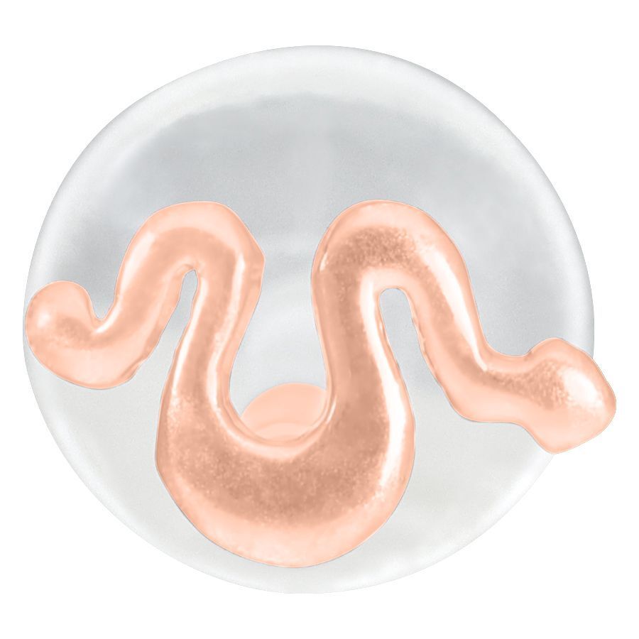 Rosé-Goldenes Snake Labret auf weißem Hintergrund