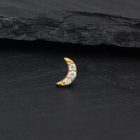 14K Gold Moissanite Luna di Wildcat Luna dorata con pietre di moissanite cristalline su sfondo scuro