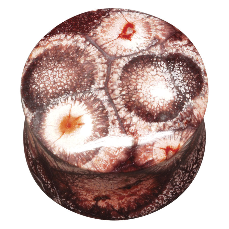 Plug rotondo in materiale fossile con motivo organico e tonalità marroni su sfondo bianco