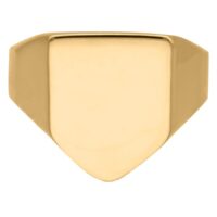 Anello dorato personalizzabile in acciaio chirurgico su sfondo bianco