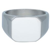 Anello base in acciaio chirurgico 316L argentato su sfondo bianco