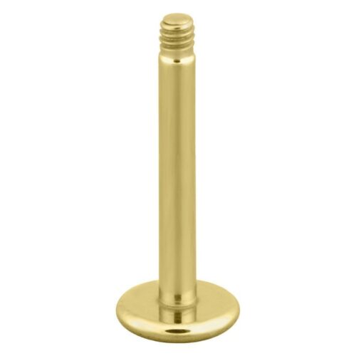 Barra labret in titanio dorato con filettatura esterna su sfondo bianco