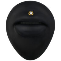 Accessorio in metallo dorato con cristallo chiaro su sfondo nero