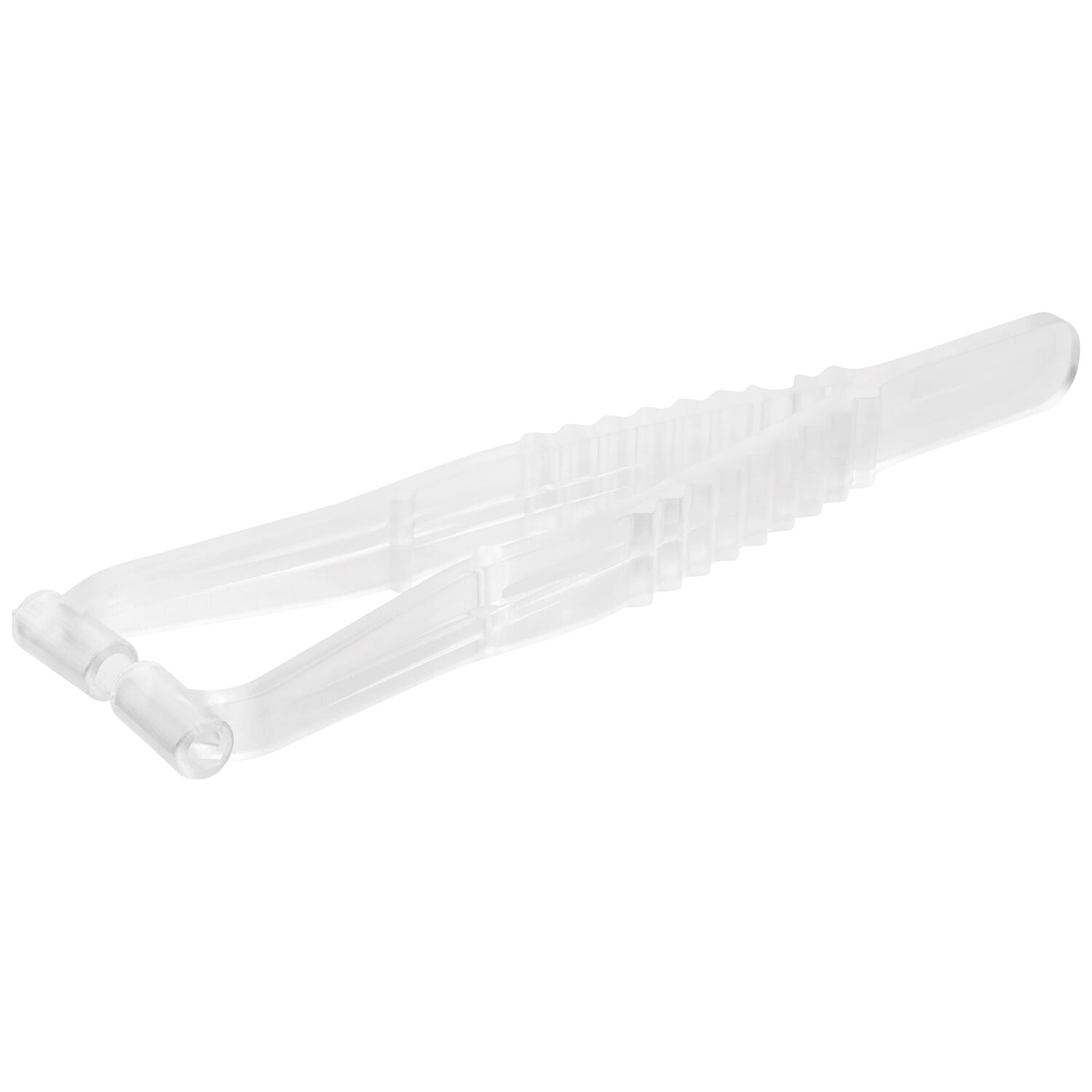 Pinza sterile trasparente per piercing al setto su sfondo bianco