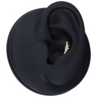 Inserto Tiara dorato Push Fit con cristalli Inserto Tiara dorato con cristalli chiari su modello di orecchio nero
