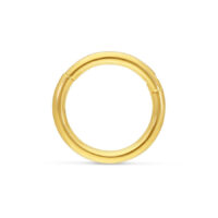 Anello in oro 18K lucido con cerniera su sfondo bianco