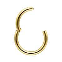 Anello piercing in oro 14K con cerniera, spessore 1,2 mm, diametro 8 mm