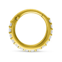 Clicker d'oro con cristalli chiari su sfondo bianco