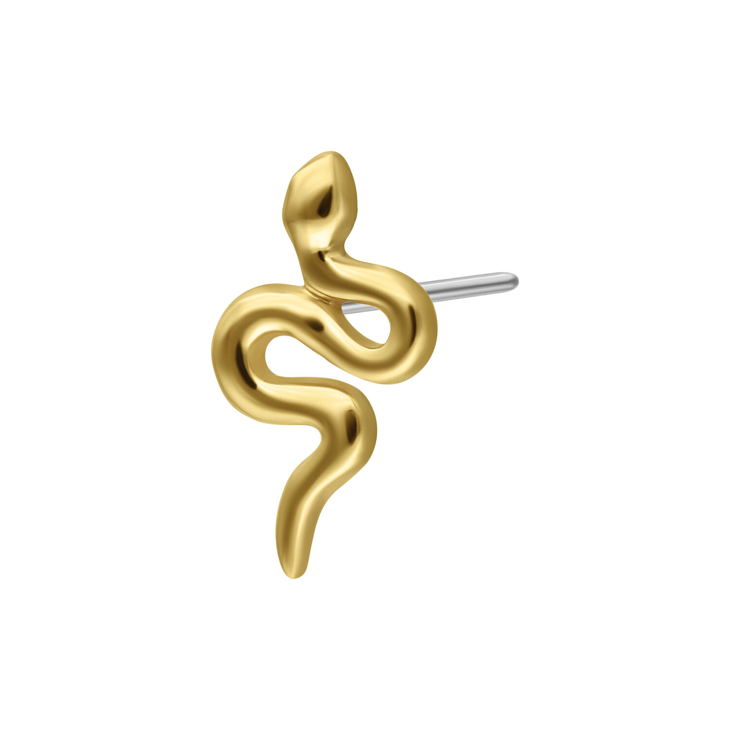 14K Gold Push-Fit Serpente Serpente d'oro in 14K per piercing Push-Fit su sfondo bianco