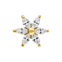 Attacco a Fiore di Ibisco Oro con Cristalli Chiari su Sfondo Bianco