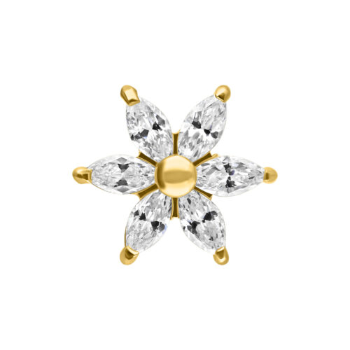 Attacco a Fiore di Ibisco Oro con Cristalli Chiari su Sfondo Bianco