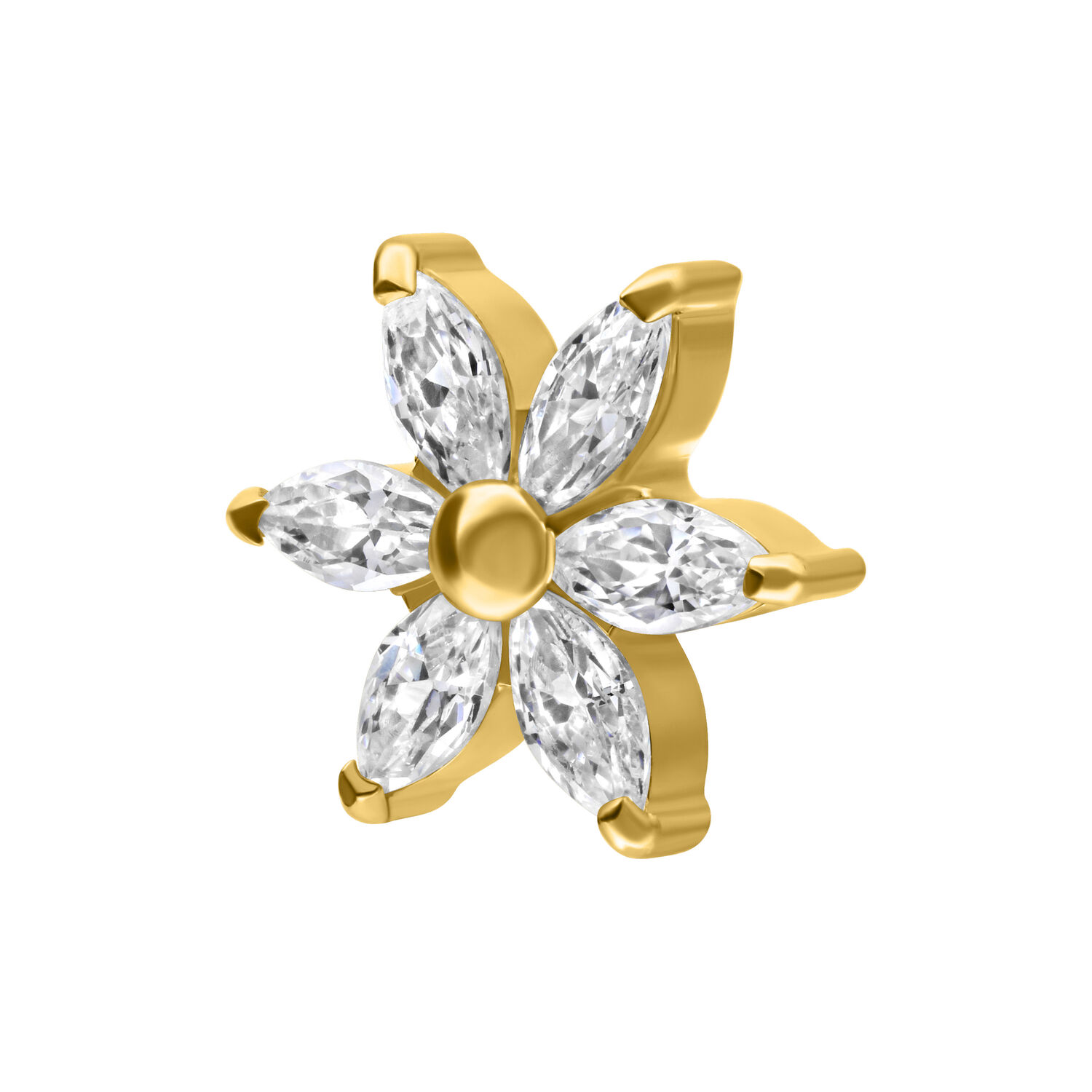 Astuccio Hibiscus dorato con pietre cristalline su sfondo bianco