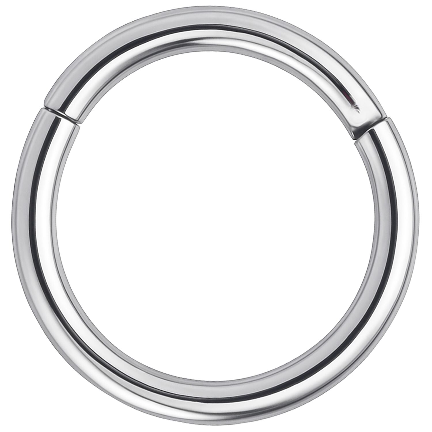 Anello segmentato in acciaio chirurgico argento su sfondo bianco