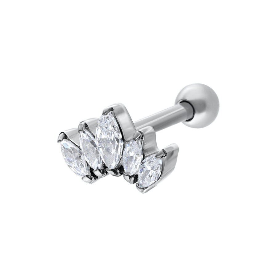 Orecchino Barbell in titanio argento con cristalli chiari, foto in studio