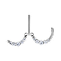 Clicker per capezzolo argento con cristalli chiari su sfondo bianco