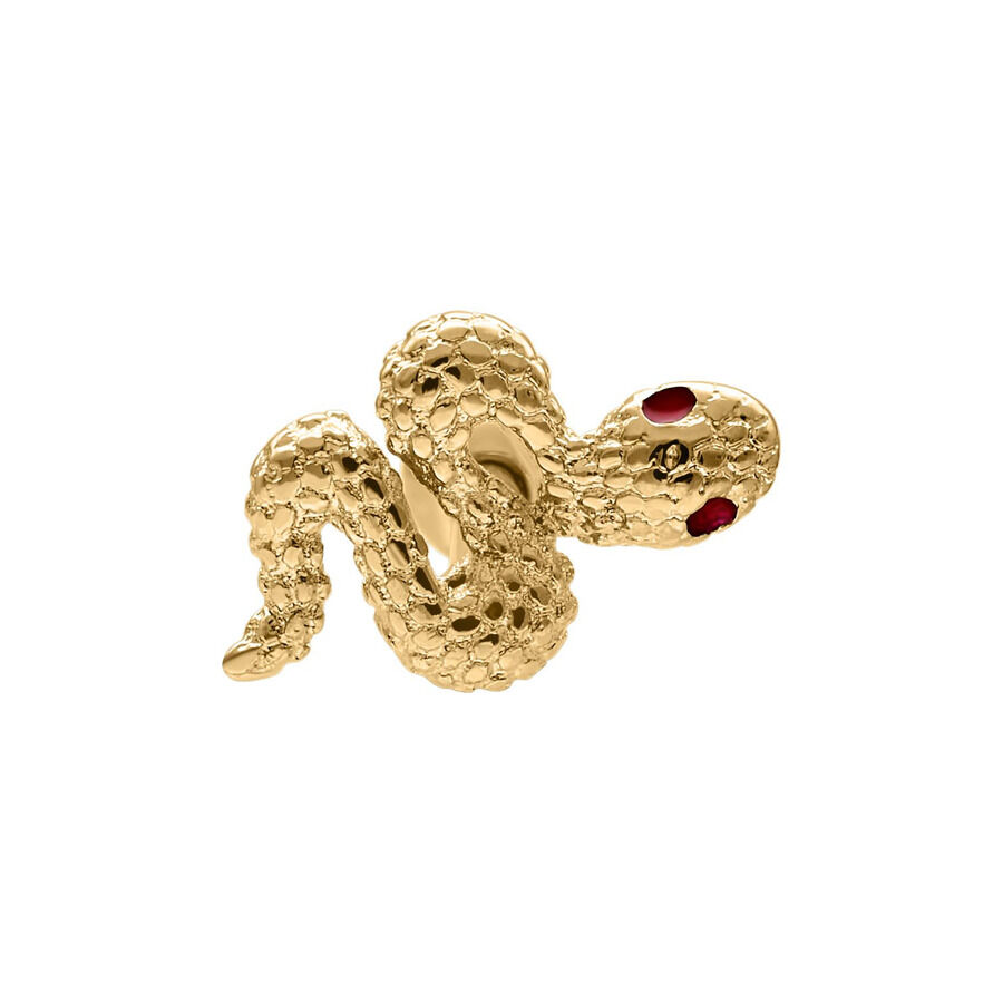 Barbell Serpente dorato con occhio rosso brillante su sfondo bianco