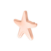Attacco Starfish in oro rosa per Push Fit, dimensione 6 mm, su sfondo bianco