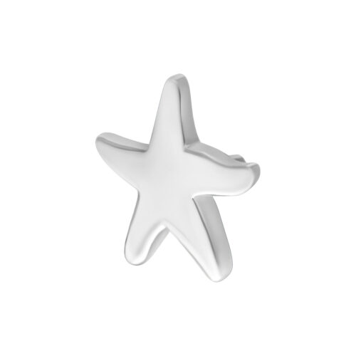 Stella marina d'argento in metallo su sfondo bianco