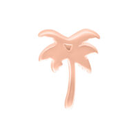 Attacco palm in oro rosa per Push Fit su sfondo bianco