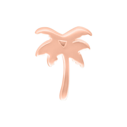 Attacco palm in oro rosa per Push Fit su sfondo bianco