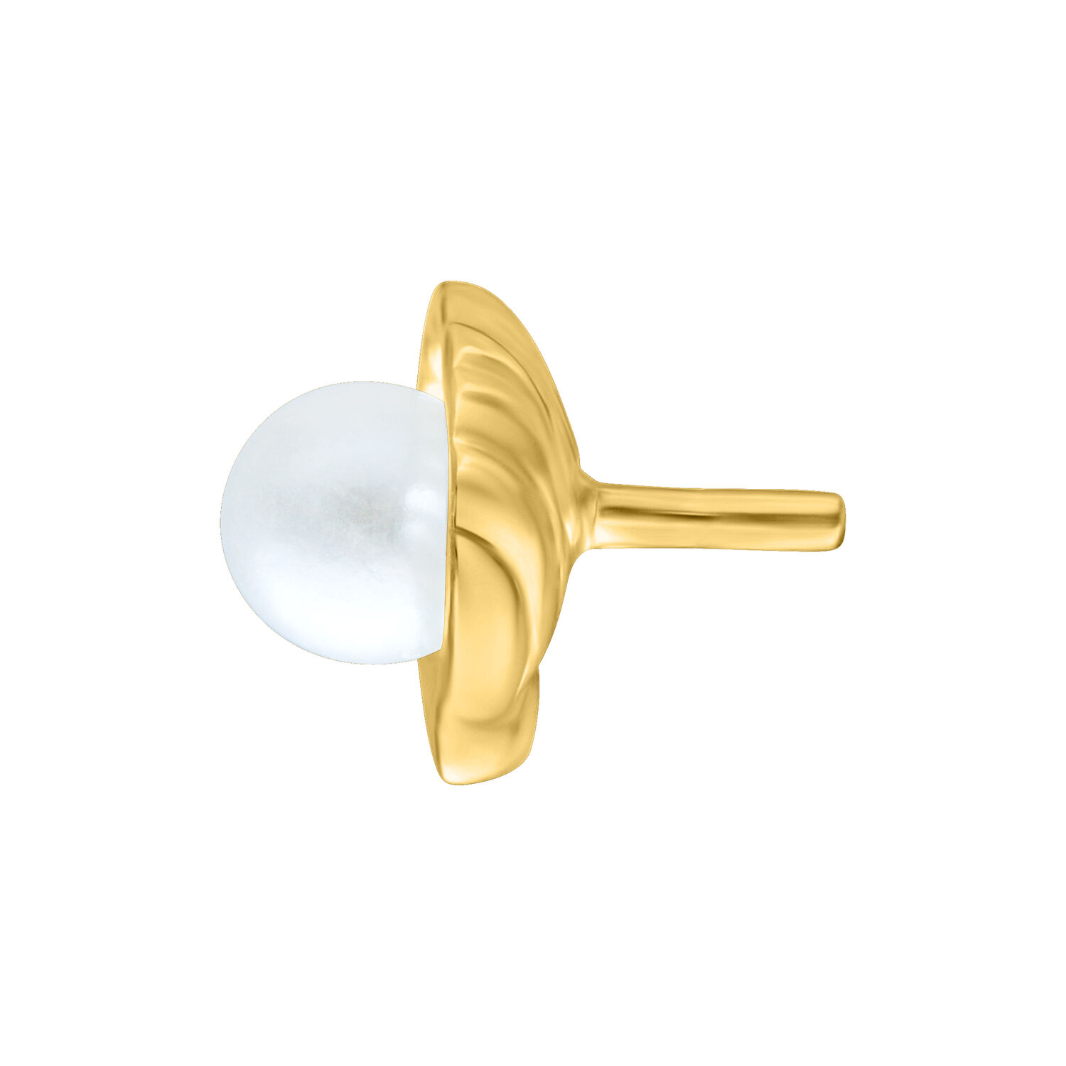 Inserto per piercing dorato con perla lucente su sfondo bianco