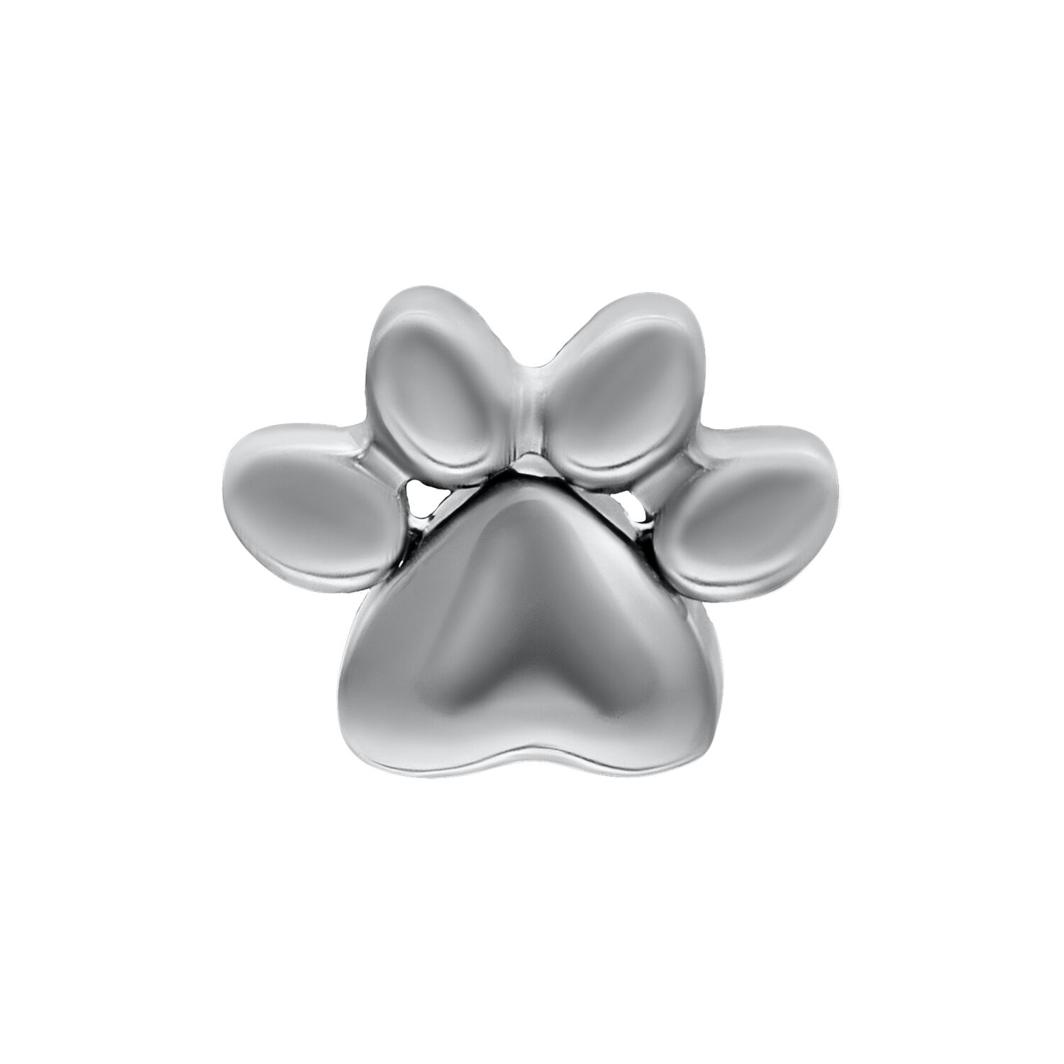 Accessorio a forma di zampa in titanio argento su sfondo bianco